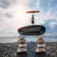 ssl证​书​用﻿途‍